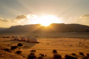 Wild Oryx Camp Bubbles
