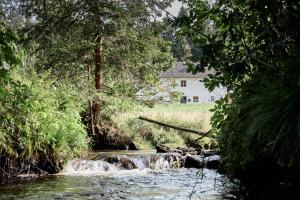Auszeit am Kamp - Ferienhaus Rametsteiner