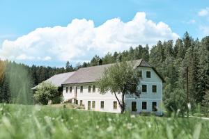 Auszeit am Kamp - Ferienhaus Rametsteiner