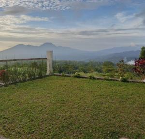 Hollywood Hill Lengkoan