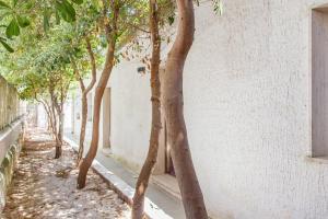 Villa Kareema 1A con accesso diretto alla Spiaggia di San Pietro in Bevagna