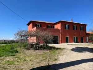 Roman Holiday Farm - 圭多尼亚