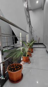 TARA Guest House