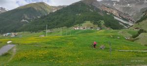 Tea da Nardo in Val Federia