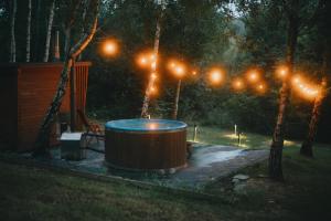 Domki W Sam Las & SPA Lubenia