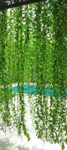 Villa Garden by the beach - Bai Truong Phu Quoc