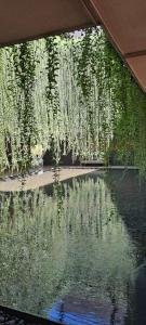 Villa Garden by the beach - Bai Truong Phu Quoc