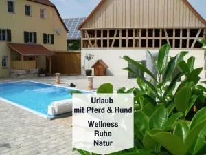 Gut Weihersmühle - Neureuth