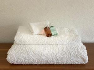 Chambre au bord du lac Léman