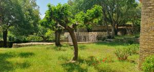 Villas Le Chant des Bories : photos des chambres