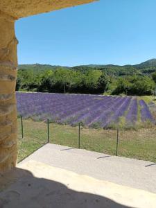 Villas Le Cocon d-Adrien : photos des chambres
