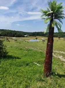 Stadnina koni Tarka - Adamów