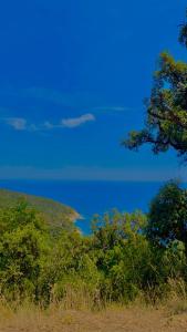 Sejours chez l'habitant Petit Havre de Paix avec Jacuzzi Luxe & Jardin Privatif Zen : photos des chambres