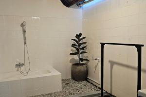 charming balinese Shanty house