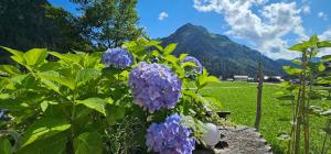 Ferienwohnung Zunzer