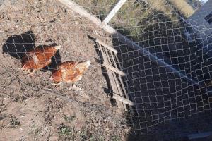 Casa que da paz al alma