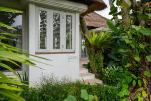 Fall in Love with Rose Moon