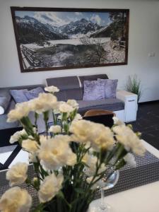 Apartamenty pod Gontem