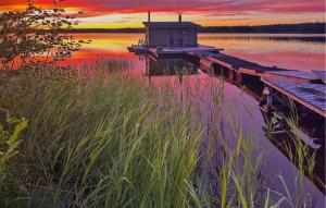 Pet Friendly Home In Rosvik With Wifi