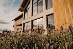 Pousada Refúgio dos Vinhedos