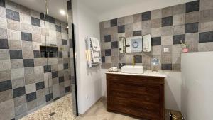 Appartements Loft sauna balneotherapie : photos des chambres