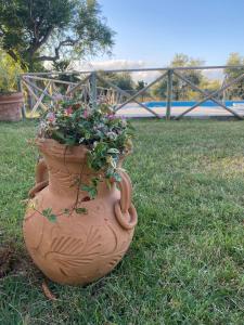 Il Girasole Terzuolo