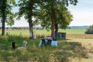 B&B / Chambres d'hotes Demeures & Chateaux Le Clos Luly : photos des chambres