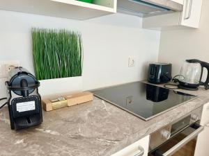 Rooftop Apartment with Balcony & Free Parking