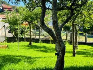 Casa de Meruso - Boa