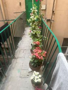 Immobilia Down Town apt amazing iconic