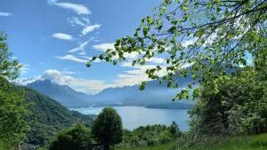 Lake in Nature - 孔西里奥-迪鲁姆 Lake in Nature - 孔西里奥-迪鲁姆