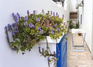 Sa Caletta Appartamenti img50