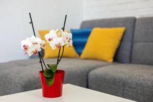 Apartmani Viktor Rogoznica