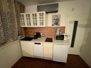 apartman pri X Bionic Sphere Samorin s bazenom