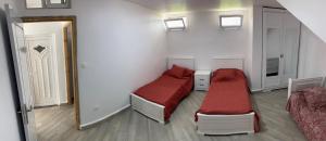 Logement spacieux 10personnes - Location Azeffoun Ait Chafaa-11000da