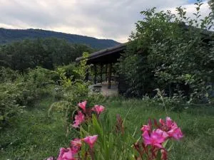 chalet 4 a 5 personnes - jaune - Berzème