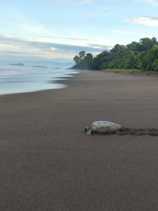 Habitación compartida con tres comidas incluidas y dos horas de electricidad diarias
