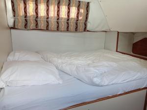 Bateaux Sejour insolite sur un bateau au coeur de Chatillon-en-Bazois, romantisme et nature inclus - API-1-46-17 : photos des chambres