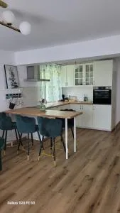 Odiseea Apartment - Turnişor