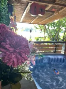 Kuća za proslave i odmor ZMAJEVO GNEZDO - Obrenovac