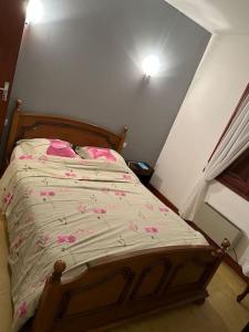 Vaste villa au coeur de la pinède
