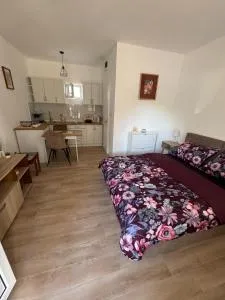 Apartman Milinkovic - Mahmutovići