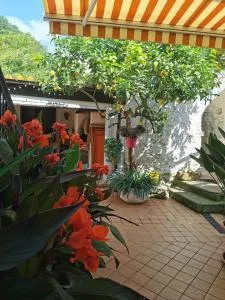 "Lemon Tree House"ideal for families and groups with bike storage - Orco Feglino