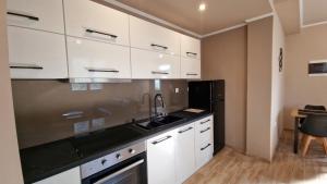 Efi house