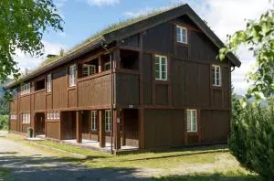Spacious Hemsedal apartment with 2 bedrooms, fireplace, and mountain views - Torset