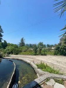 Abuladze in - Kapreshumi