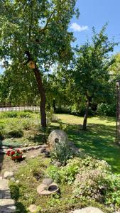 Cosy Charming Guest House in central of Marijampole