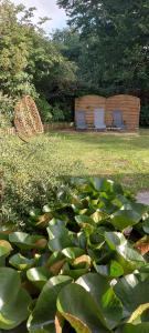 Maisons de vacances Les Vergers de Fontenay : photos des chambres