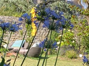 Appartements Studio avec jardin : Studio