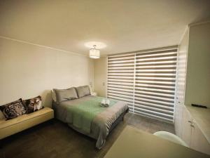 HOM I Studio en Santiago centro metro Santa Isabel SI0311